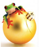 "Hopping Good Time" Frog Christmas Cards, bx/18