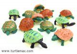Stretchy Colorful Turtle Toys (12)