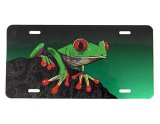 Red Eyed Treefrog License Plate