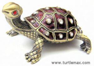 Tortoise Jewel Box