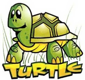 Turtle T-Shirt (Youth)