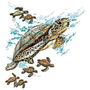 Green Sea Turtle Swimming with Babies T-Shirt (Adult)