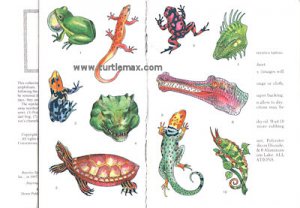 Reptile Temporary Tattoos (10)