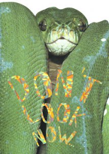 "Don't Look Now" Snake Birthday Card