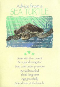 Sea Turtle Advice Greeting Card