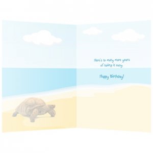 Taking it Easy Turtle Birthday Card