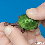 Stretchy Turtles (24)