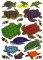 Turtle Window Cling Decals