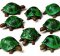 Green Turtle Toys (12)