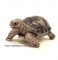 Porcelain Miniature: Desert Tortoise