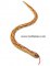 20" Wooden Wiggle Snake