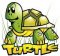 Turtle T-Shirt (Youth)