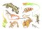 18 Full-Color Lizard Stickers